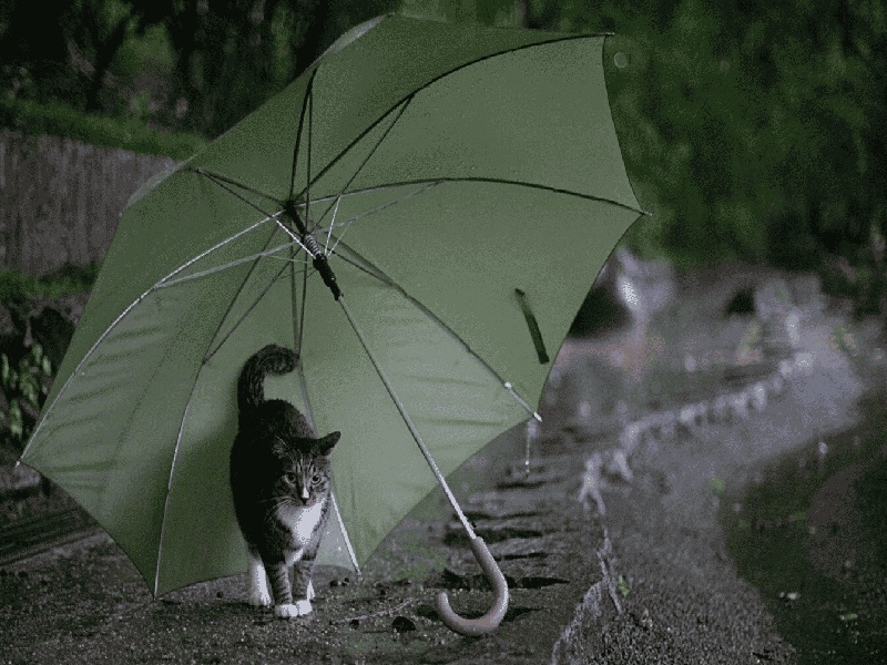 李先生夫妇成功案例